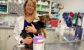 The bleeding wounds must have staunched blood before continuing to clean the same. Honey And Wound Care Veterinary Medicine At Illinois