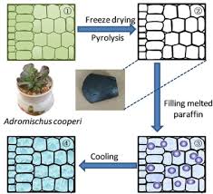 What do you call a snake that is only 3.14 inches? Enhanced Thermophysical Properties Of Organic Pcm Through Shape Stabilization For Thermal Energy Storage In Buildings A State Of The Art Review Sciencedirect