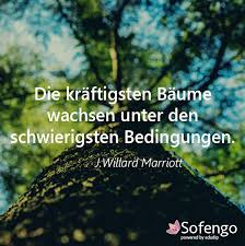 Die Kraftigsten Baume Wachsen Unter Den Schwierigsten Bedingungen J Willar Marriott Zitat Spruch Weise Spruche Weisheiten Spruche Baum Zitate