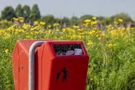 Encuentra fotos de stock perfectas e imágenes editoriales de noticias sobre flowers garbage en getty images. 1 572 Flowers Trash Photos Free Royalty Free Stock Photos From Dreamstime