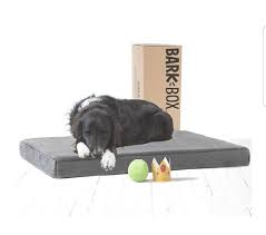 Spray the bed with an odor eliminator that's safe from pets. Therapeutic Machine Wash Cover Memory Foam Matress Grey Orthopaedic Dog Bed Dog Beds Pet Supplies Worldenergy Ae