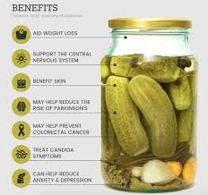 Pickles Brine Vs Vinegar