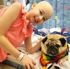 Wiltzius, if a biopsy shows a high grade bone cancer, that doesn't necessarily mean that the dog won't live longer than dog with a low grade bone cancer. New Charity Initiative Focuses On Early Diagnosis For Children With Bone Cancer To Save Young Lives Charity Today News