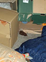 Robin Haslam is fundraising for Birmingham City Mission