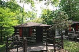 Serenity cove shares the screened in porch with serenity haven which is the front house. Cute Cabin With Fenced Yard For Pets Picture Of Log Cabin Motor Court Asheville Tripadvisor
