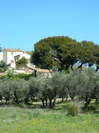 Miramas Le Vieux Paysage Vieux