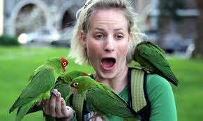 Why you should see this documentary about San Francisco's newest mascot