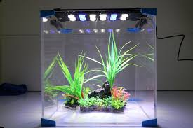 High Brightness Led Light 40 60 80 100 120c Various Specifications Extendable Brackets Fitting For Different Size Of Aquarium F Aquarium Led Led Lights Led