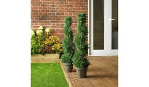 Buy Argos Home Artificial Cedar Twist 91cm Twin Pack Artificial Flowers Plants And Trees Argos 9 Artificial Flowers Artificial Flowers And Plants Plants