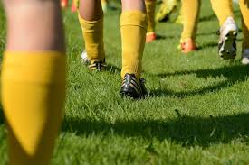 It plays in the austrian football bundesliga. Trainingslager Cashpoint Scr Altach Montafon At