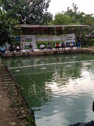 Pemancingan Ikan Mas Telaga Waru Local Business Tangerang 14 Photos Facebook