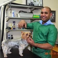 Grooming (also called preening) is the art and practice of cleaning and maintaining parts of the body. American Vet Grooming Services