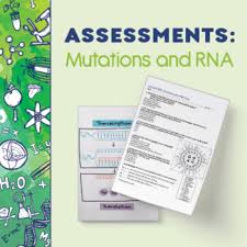 Some of the worksheets for this concept are work mutations practice, work mutations practice what type of mutation is this an example of? Mutations And Proteins Worksheets Teaching Resources Tpt