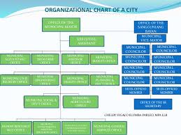 73 unusual lgu organizational chart