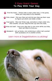 5 Easy Scent Games To Play With Your Dog At Doggie Solutions Online Pet Store Dog Training Tips Dog Training Dog Waiting