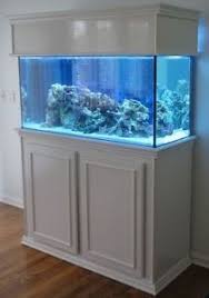 We did not find results for: Shop By Category Ebay Fish Tank Stand Fish Tank Cabinets Diy Fish Tank Stand