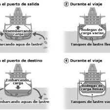 Piedra de mala calidad y en lajas resquebrajadas, ancha y de poco. Ciclo De Las Aguas De Lastre Download Scientific Diagram