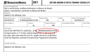 A norma foi publicada em agosto pelo superior tribunal de justiça e estabelece que. Geracao De Guias De Pagamento Judicial Portal Do Trt 17