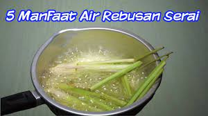 Khasiat air rebusan jahe dan serai selanjutnya adalah sebagai obat alami untuk meredakan gejala pms, seperti kembung, kram, dan hot flashes. Luar Biasa Inilah 5 Khasiat Minum Air Rebusan Serai Untuk Kesehatan Youtube