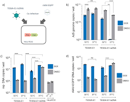 Image result for Poppy Red 1996 AAV