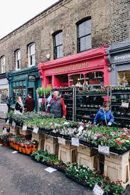 Columbia Rd Flower Market Campana Columbia Road Flower Market Columbia Road London Places
