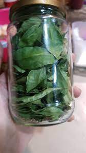 Selain itu cara ini juga biasa digunakan oleh orang yang sangat selektif dalam memilih media yang akan disimpan di galeri hp. Ibu Resepi Tips Simpan Daun Kari Actually Bole Guna Facebook