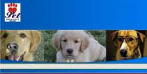39 reviews of vca coral springs pet resort & medical center we have never gone for the vet service but will give it a try. Pet Medical Center Spa Veterinary Emergency Clinic Hospital