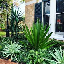 Contemporary Planting Revisited Gardendesign Joconnollydesign Plants Plants Landscape Projects Contemporary Garden