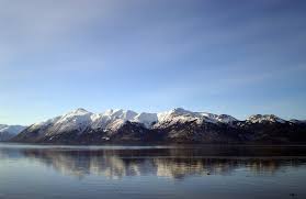 The summer range of cook inlet belugas has changed significantly since the 1970s, contracting northward and eastward toward anchorage in upper cook inlet. Cook Inlet Oil Platforms Powered By Leaking Alaska Pipeline Forced To Shut Down Inside Climate News