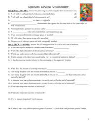 What is this event and when it is most likely to occur during meiosis? 28 Chromosome Number Worksheet Answers Free Worksheet Spreadsheet