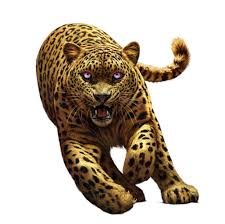 Spirit Animals A Book Series Game That Is About You With A Spirit Animal I Cant Explain It Any Spirit Animals Book Spirit Animals Series Spirit Animals Game