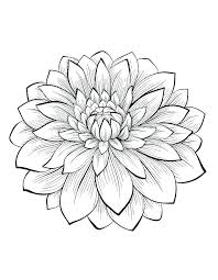 How to color these flower coloring pages: Printable Coloring Pages For Adults Flowers Coloring And Drawing