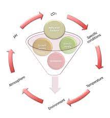 Introduction an important aspect of any biotechnological processes is the culture of animal cells in artificial media. Parameteres For The Growth And Maintenance Cell Culture The Factors Download Scientific Diagram