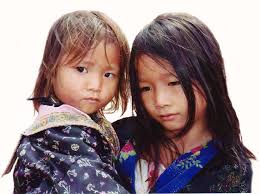 SIE JAGEN UNS WIE TIERE