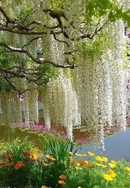 Bellezas De La Naturaleza Beautiful Nature Beautiful Places Nature Landscape Photography