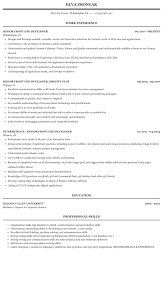 senior front end developer resume