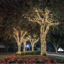Fairy Lights Warm Light Fur Pin In 2020 Outdoor Tree Lighting Solar Christmas Lights Solar Tree Lights