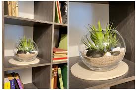 Dekoration fur grosse glasvase dekoration. Kugelvase Dekorieren Sommerliche Diy Ideen
