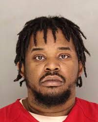 Monroeville man pleads not guilty in animal fighting case