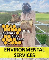 Suffolk Busy Bees