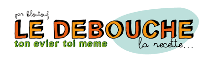 T Es Bouche Ou Quoi Zero Dechet Deboucher Evier Famille Zero Dechet