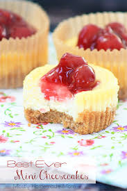 Use a whole vanilla bean to take things to pro level. Best Ever Mini Cheesecakes Video Post Mostly Homemade Mom