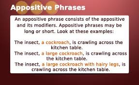 Appositives Definition Uses Restrictive Vs Non Restrictive Amp Examples English Tutorvista Com Grammar Conventions Grammar Syntax