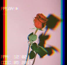 Rose Tumblr Aesthetic Wallpapers Aesthetic Photography Aesthetic Iphone Wallpaper