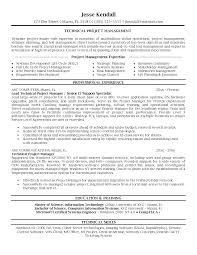 Project Management Resume Sample It Project Manager Free Resume ...