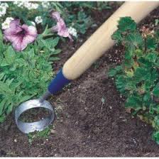 12 Top Gartengerate Jeder Sollte Eigengartengerate Werkzeuge Fur Anfanger G Gartenarbeit Fur Anfanger Indoor Garten Gartenarbeit