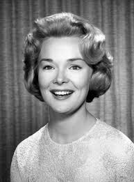 Temple Houston (TV Series 1963–1964)