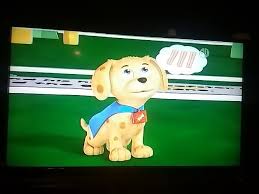 Whyatt is the natural born leader of the group who. Super Why Woofster Song Youtube