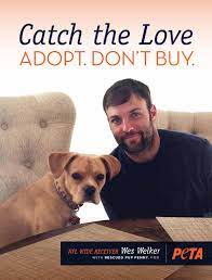 Maybe you would like to learn more about one of these? Like Broncos Fans Adopted Dogs Know Loyalty Peta