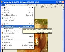 Laden sie ihre jpg datei. Speichern Mit Idealer Dateigrosse Fur Websites Mit Gimp